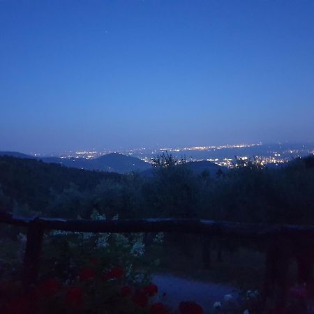 Agriturismo Menghino Nievole Екстер'єр фото