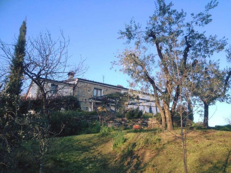 Agriturismo Menghino Nievole Екстер'єр фото