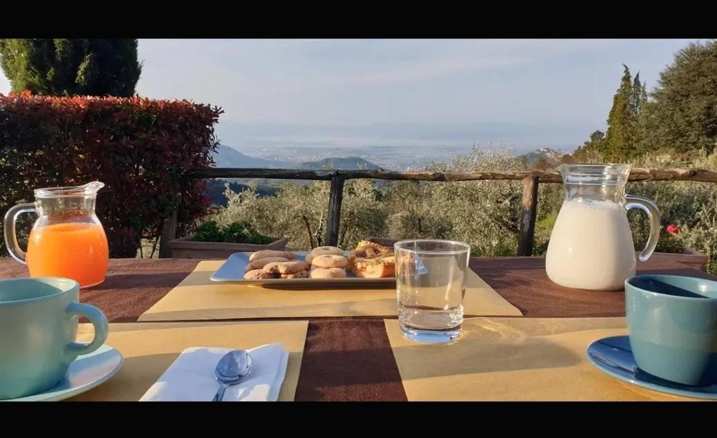 Agriturismo Menghino Nievole Екстер'єр фото