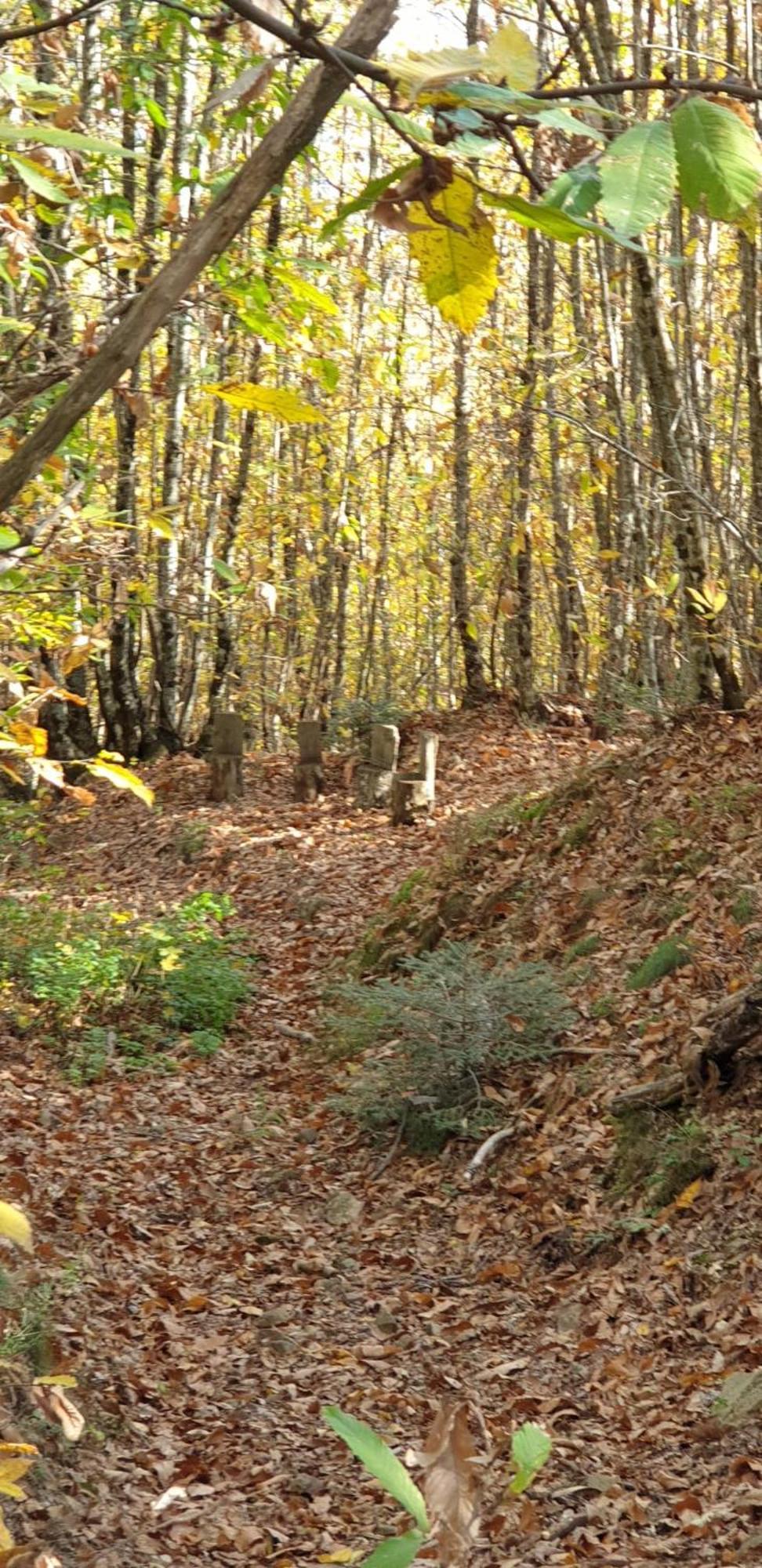 Agriturismo Menghino Nievole Екстер'єр фото
